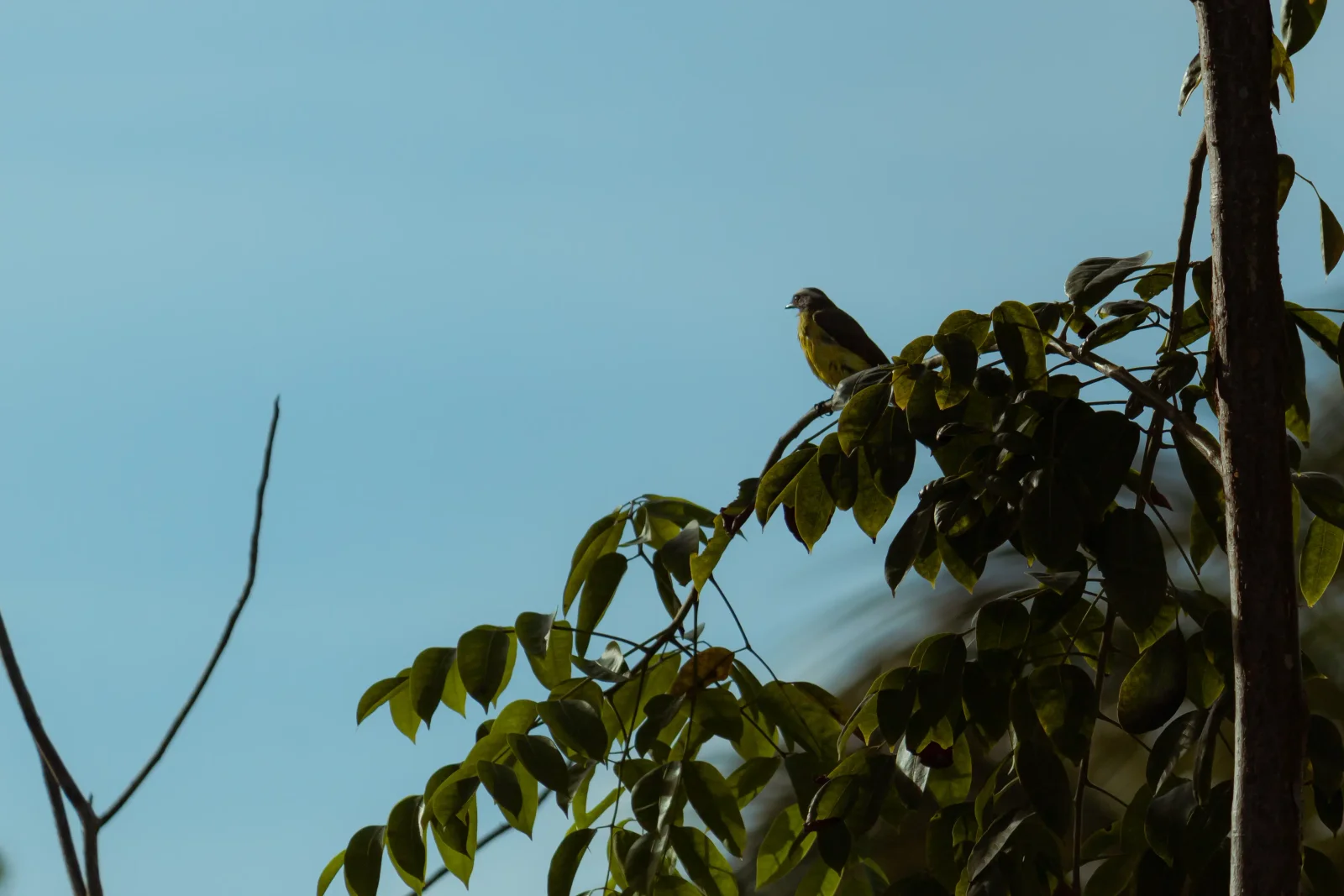 nature photography by JRMGraphy